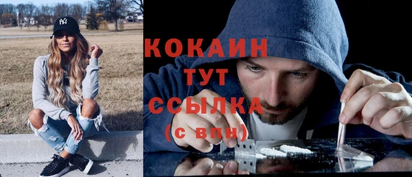прущий лед Белокуриха